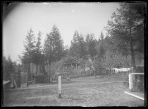 Chickens on lawn outside of mountain home