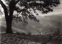 Portola Valley foothills