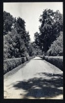 Winchester estate driveway