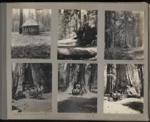 Photo from the Von Dorsten family album. Wawona Springs and Mariposa Big Trees