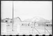 Matanasku Valley Colony dairy farm