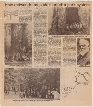 How redwoods crusade started a park system