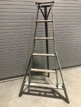 Orchard ladder with 4 rungs