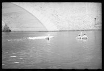 Swimmers in water underneath stone arch bridge