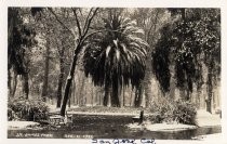 St. James Park after snowfall, December 11, 1932