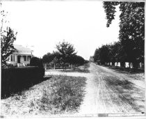 Avenue in Willow Glen