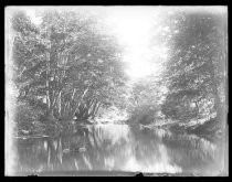 "Camp Taylor, in shadow along river, 3 p.m. 8/19/17 f22 - 1 sec"