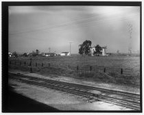 Fields on edge of Milpitas