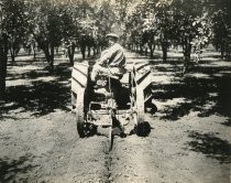 Tractor in orchard with Knapp Subsoil Plow, Catalog Photo 60-B