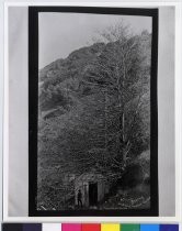 Lick Observatory Water Works