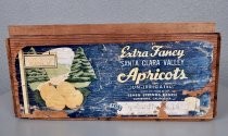 Extra Fancy Santa Clara Valley apricots fruit crate