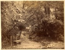 "View On Mountain Spring Ranch, near Alma, cal. G. Hueter, Proprietor."