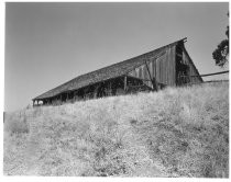 The Dairy, north of Metcalf Road - Feed Barn