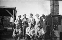 Threshing activity, Evergreen, California