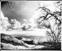 Santa Clara Valley in Bloom