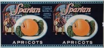 Spartan Brand Apricots, J. C. Ainsley Packing Co