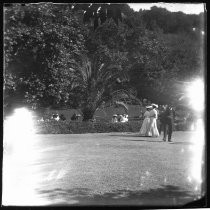 Men and women in a park, with palms