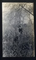 Woman posing in tall field, Winchester estate