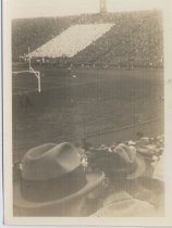 Football game - view of field and crowds from the stands