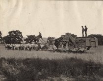 "A combined harvester on the Murphy Ranch Santa Clara Valley"