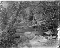 River flowing through forest, c. 1912