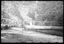 Woman seated on redwood log in forest