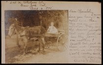 Postcard of young children in donkey cart