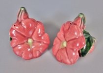 Morning Glory salt & pepper shakers