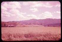 "Meadow View South of San Jose 1957"