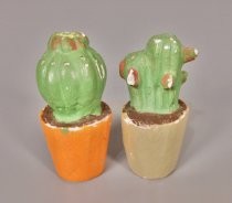 Cacti salt & pepper shakers