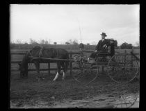 "Chester & father in cart near Guadalupe Mines, Santa Clara County"