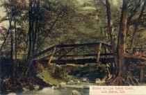 Scene on Los Gatos Creek, Los Gatos, California