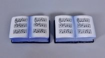 Music books salt & pepper shakers