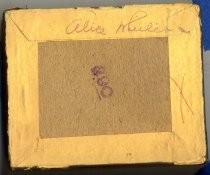 Alice Wheeler Glass Plate Negatives