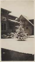 "Dec 11 1932, snowstorm in San Jose, a great rarity"