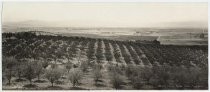 Santa Clara Valley from the east side