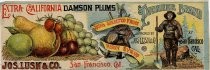 Pioneer Brand Extra California Damson Plums, John Lusk & Co., San Francisco, Cal