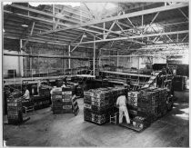 Tri-Valley pears being packed into crates