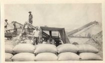 Threshing activity, Evergreen, California