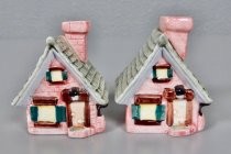 Houses salt & pepper shakers