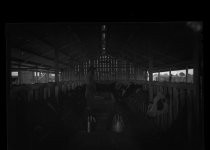 "Verrissimo" milking shed