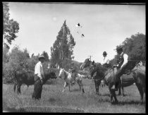 Group of four men on horseback, in a field