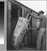 "Loading a Giant Refrigerator Car"