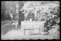 Richardson Grove State Park sign