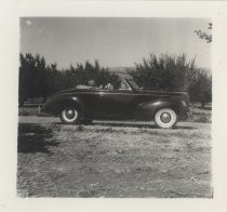 Ruby Levin in convertible car in front of orchards