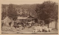 Farm scene with hills in the background