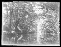 "Camp Taylor Along River 3 p.m. 8/19/17"