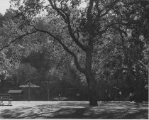 Playground at Alum Rock Park