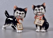 Kittens by Karen salt & pepper shakers