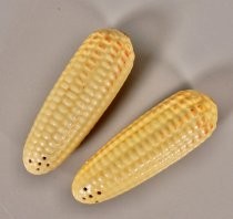 Roasted corn salt & pepper shakers